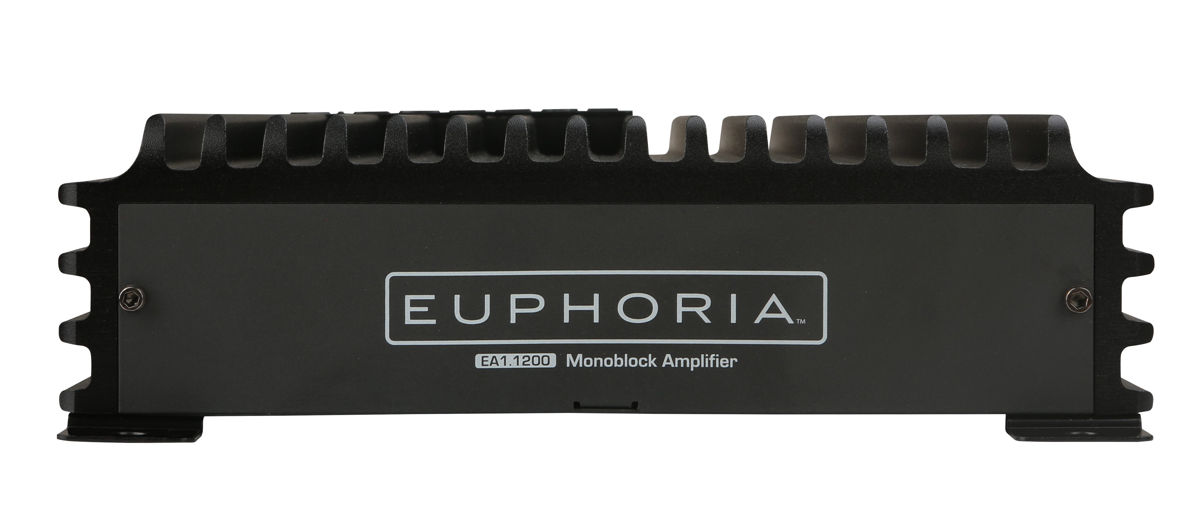 EUPHORIA EA1.1200 : Mono Class D Amplifier