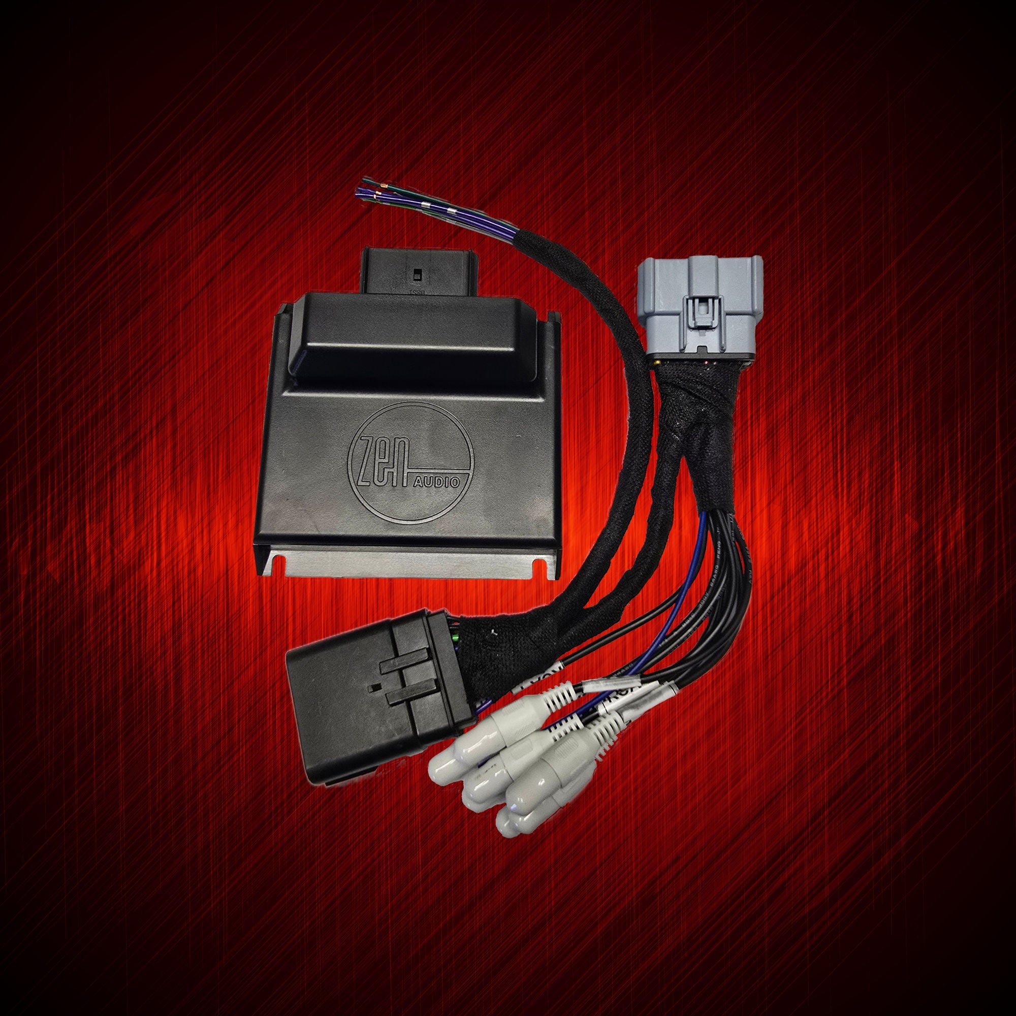 ARC Audio PSM-Pro and NAV-TV Zen-H package, alternate view