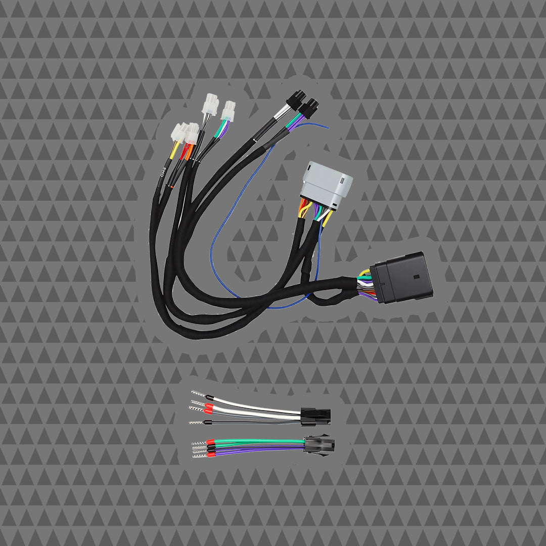 Cicada Audio 24HDNAVTVA2B 2024+ Harley-Davidson NAV-TV ZEN-H A2B direct-connect amplifier harness