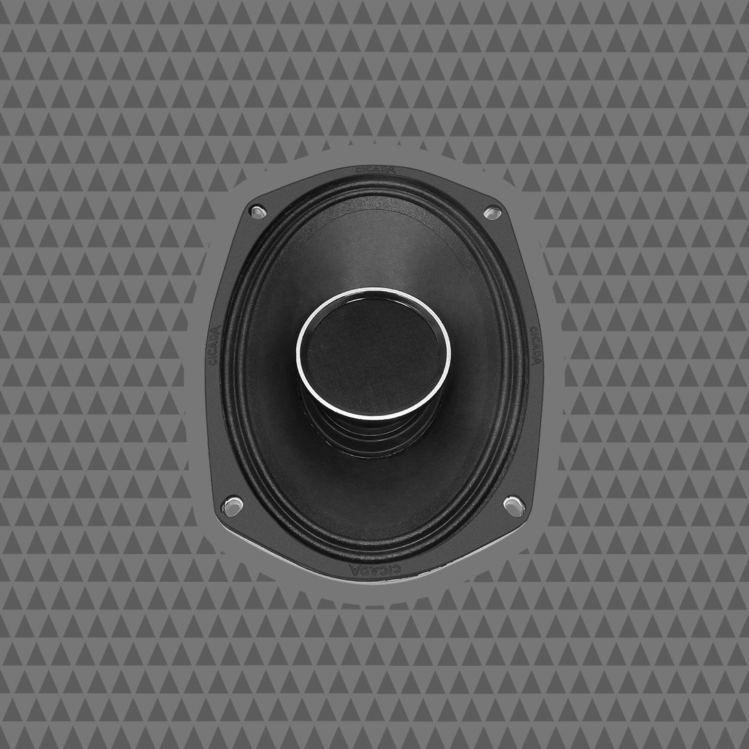 Cicada Audio CH69W 6x9-inch all-weather coaxial horn speaker