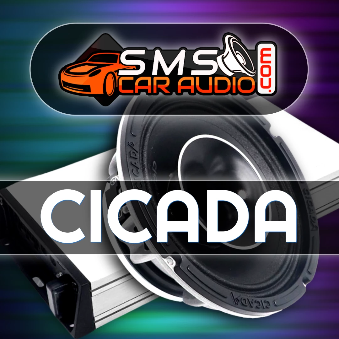 Cicada Motorcycle Audio