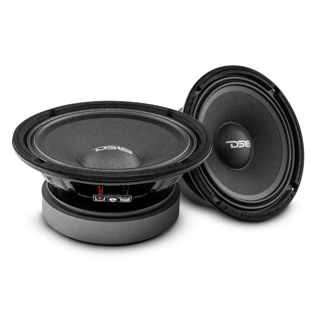 10th Anniversary Edition 6.5’’ Mid-bass Loudspeaker 250