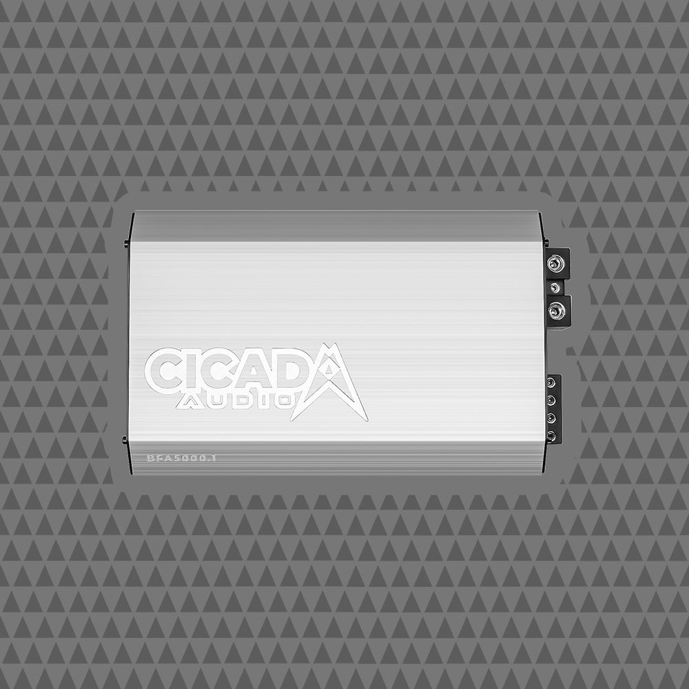 Cicada Audio BFA5000.1 5000W mono Class-D amplifier