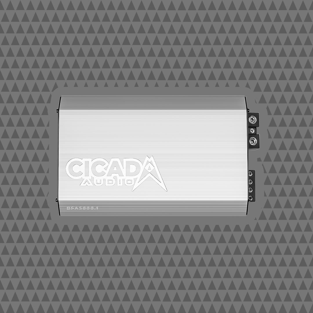 Cicada Audio BFA5000.1 5000W mono Class-D amplifier