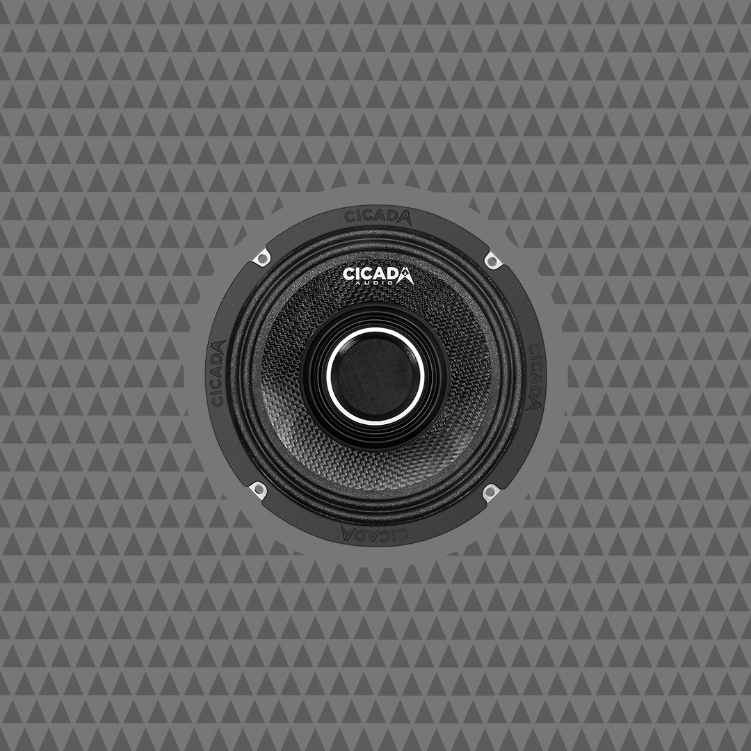 Cicada Audio CHX65 6.5-inch Pro Coaxial Horn speakers