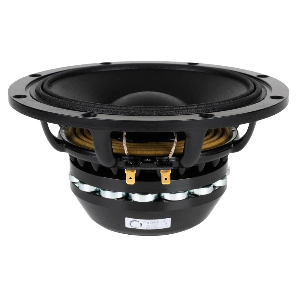 Ciare NDK8.75W 8-inch 8-ohm neodymium woofer