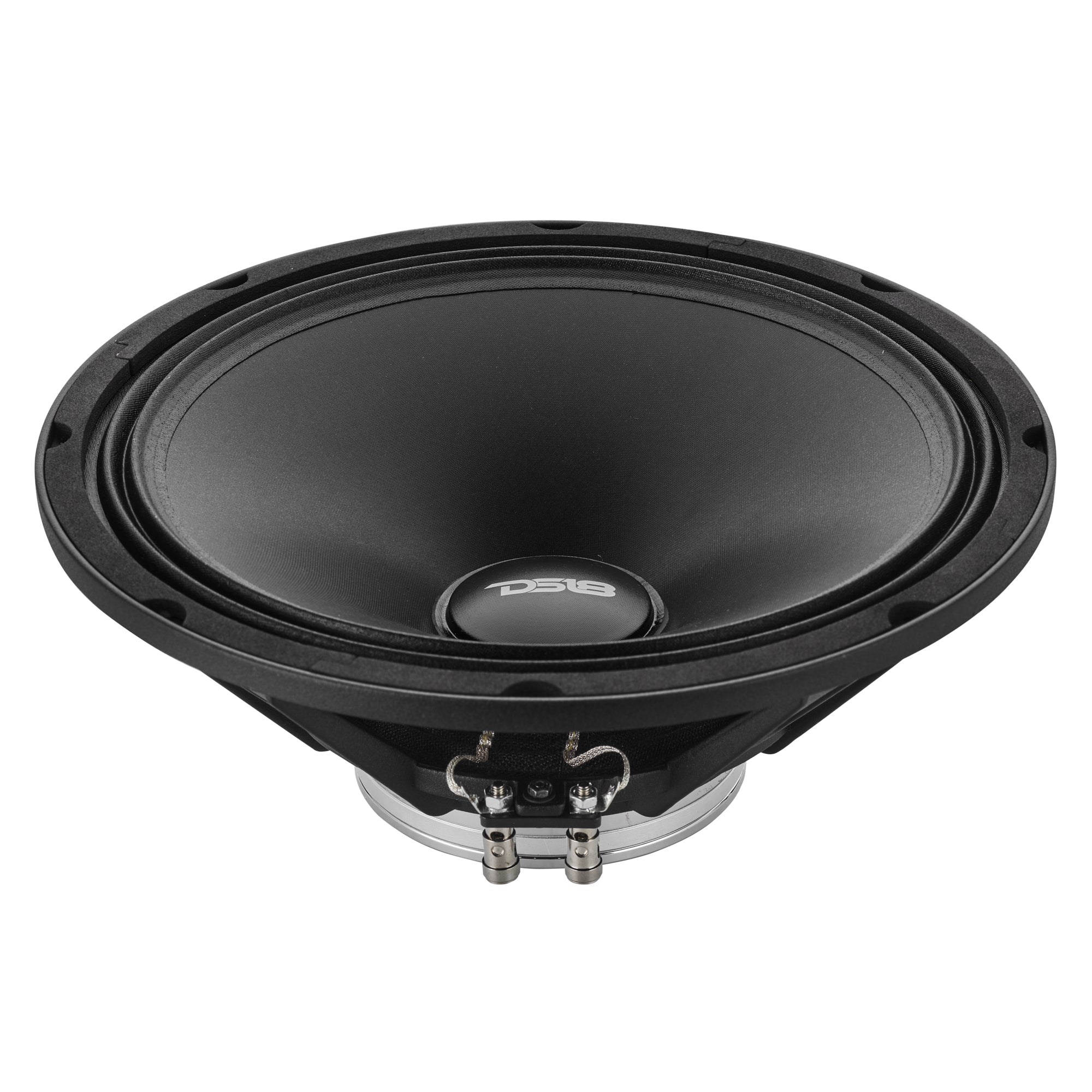 NVY 10” Full-Range Speaker With Water-Resistant Cone and Neodymium Magnet | 300W RMS 4-Ohm