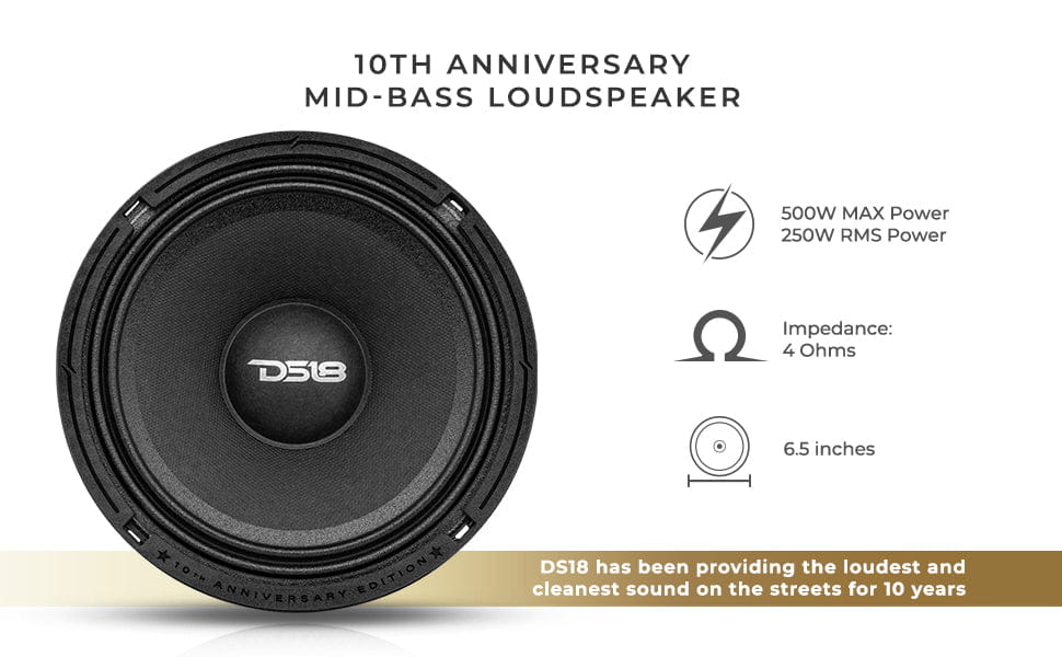 10th Anniversary Edition 6.5’’ Mid-bass Loudspeaker 250