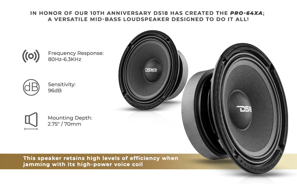 10th Anniversary Edition 6.5’’ Mid-bass Loudspeaker 250