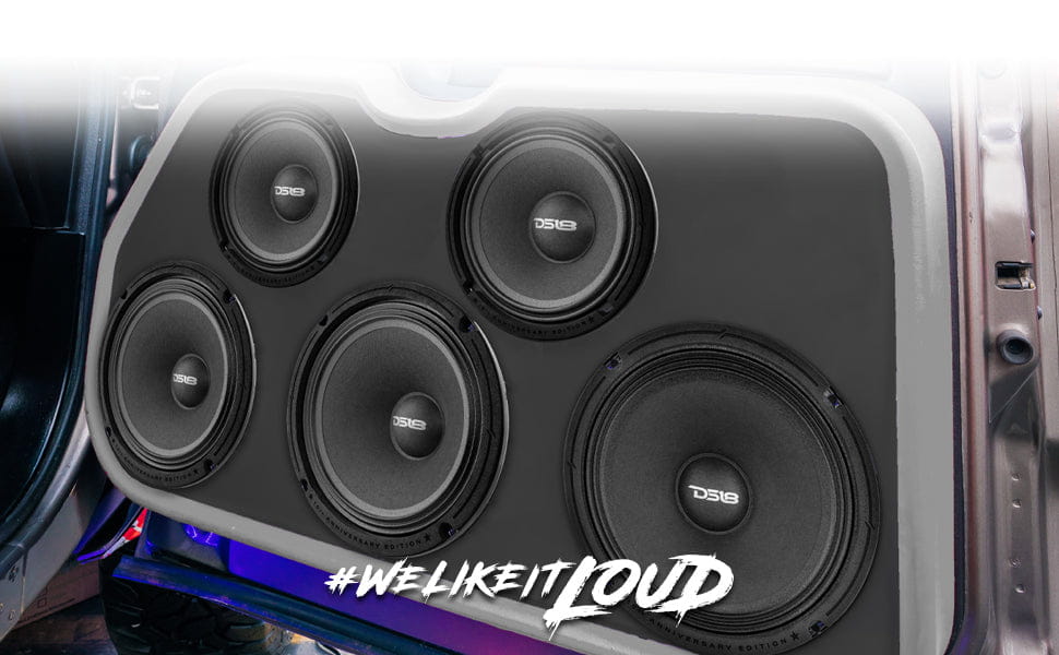 10th Anniversary Edition 6.5’’ Mid-bass Loudspeaker 250