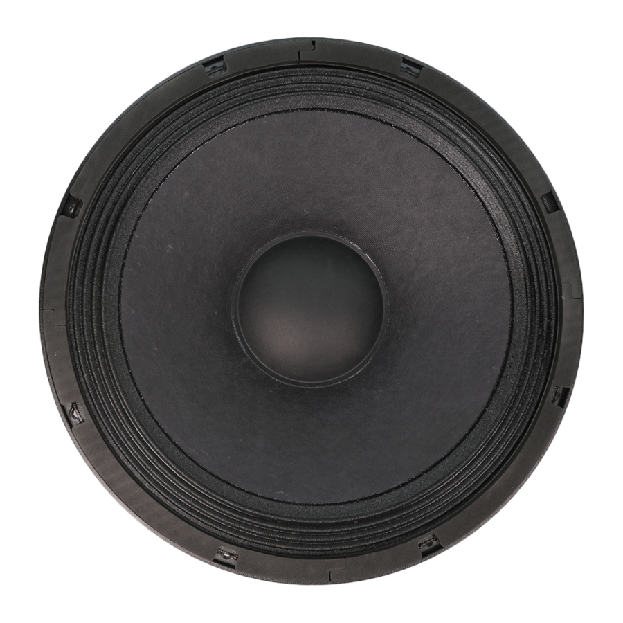 Beyma PRO12WFE 12-inch 4-ohm ferrite low-frequency midbass speaker