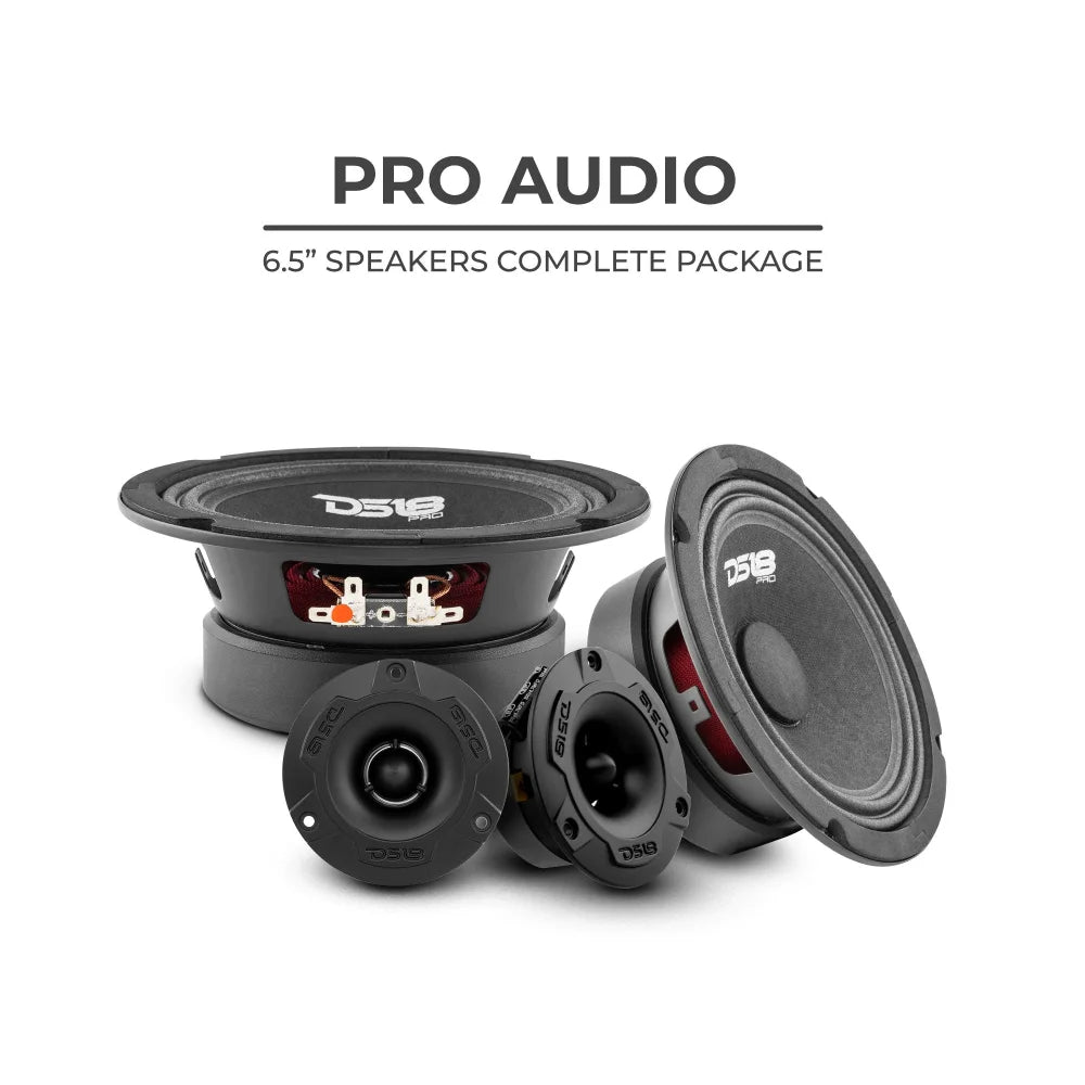 Ds18 Pro-gm6.4pk Loudspeakers and Tweeters Package